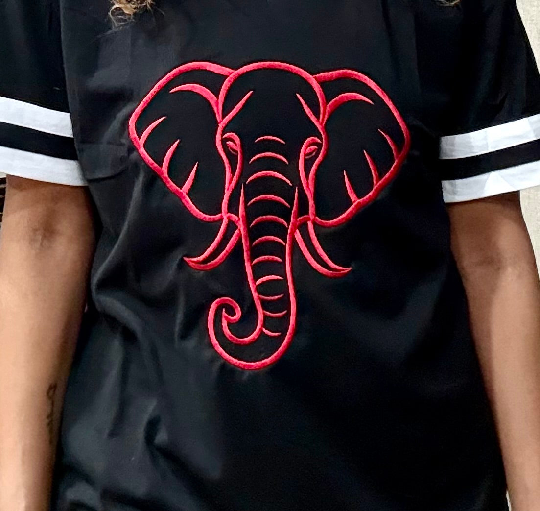 Delta Sigma Theta “ Silent Strength” Embroidered T-Shirt