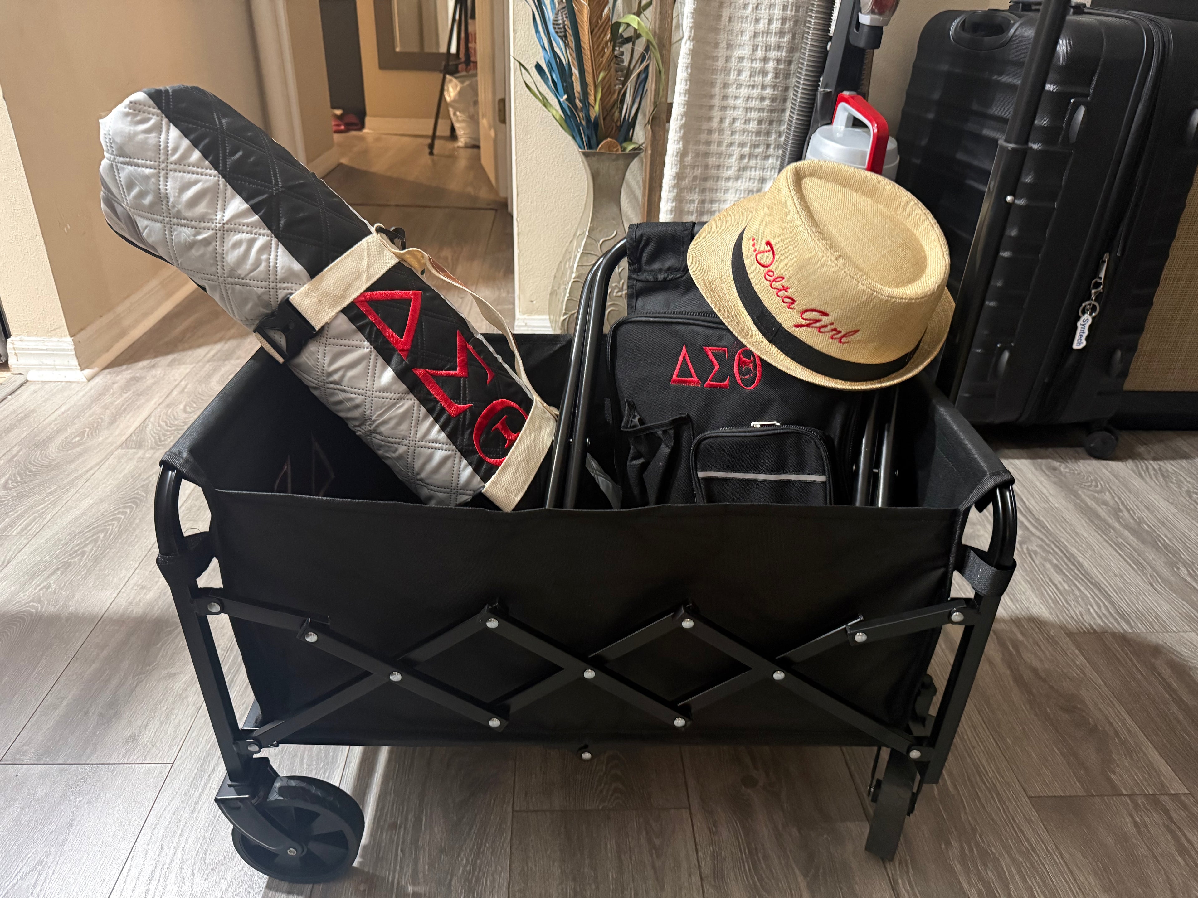 Delta Sigma Theta Everyday Wagon (non-customizable)